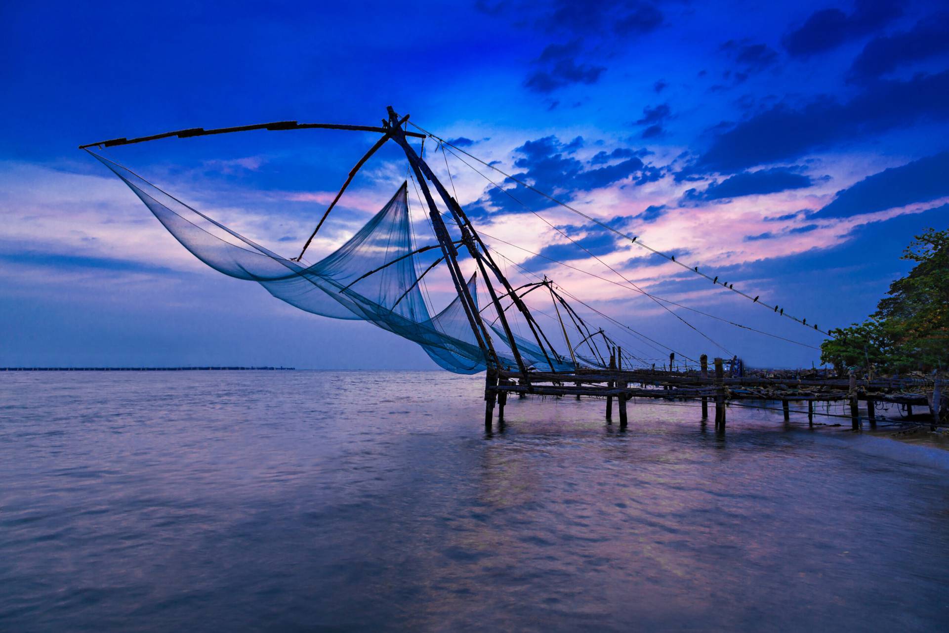 Traditional Fishing in Cochin: Nets Unfolding for the Harvest"